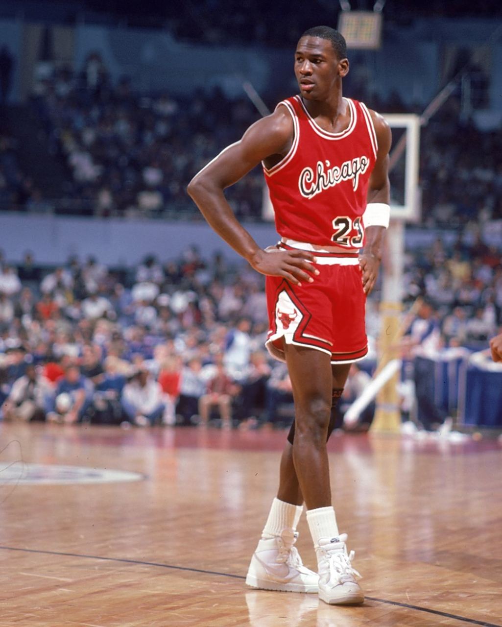 了极高的市 了极高的市