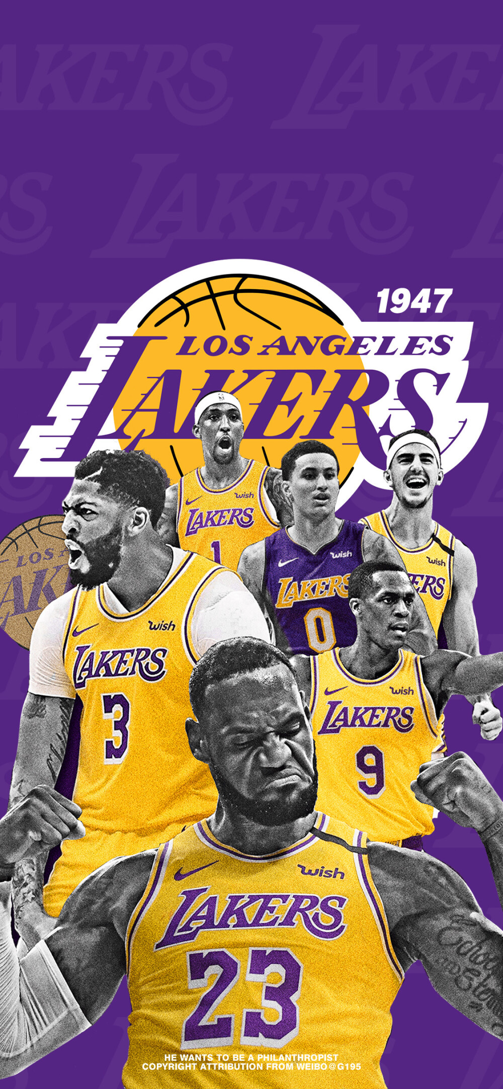 的手臂与腕 的手臂与腕